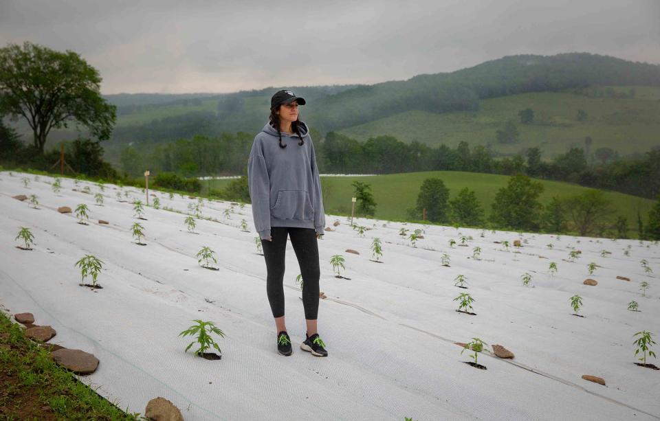 Brittany Carbone, owner of Tonic, a female run and operated cannabis farm, checks on her crops. At Tonic’s farm near Binghamton, NY on June 28, 2023. (Wesley Parnell for Rolling Stone)