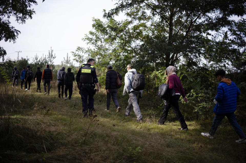 Federal Police officer escorts a group of migrants who illegally crossed the border from Poland into Germany during a patrol in a forest near Forst southeast of Berlin, Germany, Wednesday, Oct. 11, 2023. (AP Photo/Markus Schreiber)