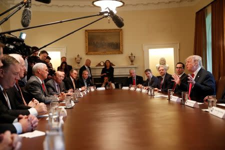 U.S. President Donald Trump participates in a Cabinet meeting, where he discussed immigration policy at the White House in Washington, U.S., June 20, 2018. REUTERS/Leah Milllis