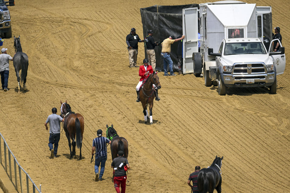 Horses from the Chick Lang Stakes are led off the track as track workers attend to Havnameltdown after it suffered a catastrophic ankle injury during the sixth race prior to the 148th running of the Preakness Stakes horse race at Pimlico Race Course, Saturday, May 20, 2023, in Baltimore. (Jerry Jackson/The Baltimore Sun via AP)