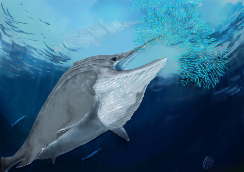 Artist's rendering shows a giant ichthyosaur from the Late Triassic bulk-feeding on a school of squid