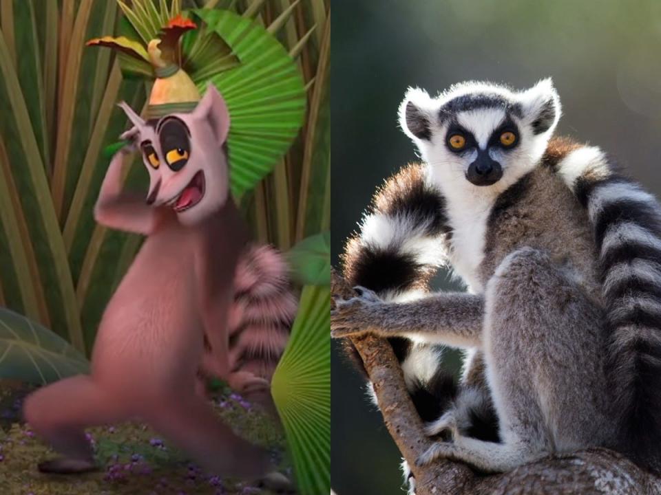 king julien side by side