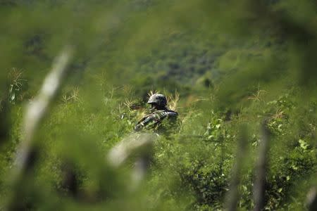 A soldier guards an area where a mass grave was found, in Colonia las Parotas on the outskirts of Iguala, in Guerrero October 4, 2014. REUTERS/Jorge Dan Lopez