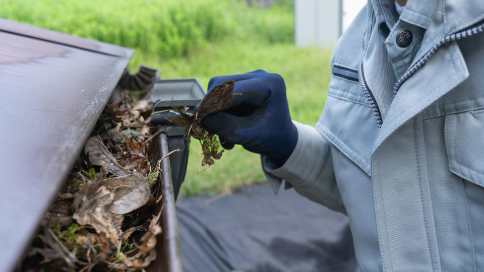 A person wearing gloves and clearing leaves out of guttering