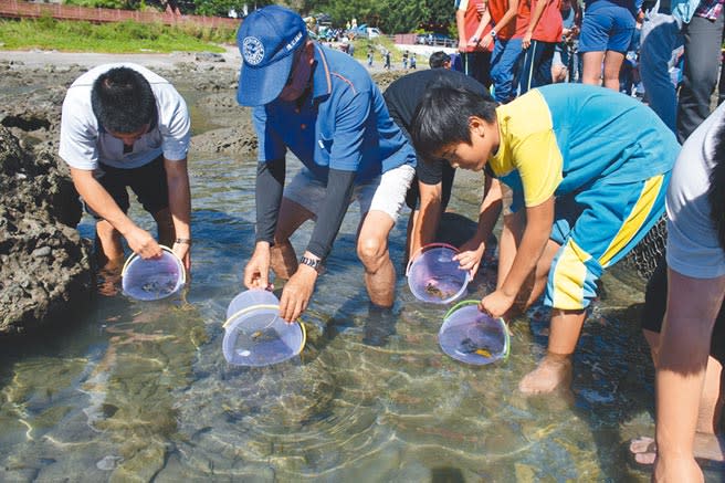 水試所、台東縣政府、海漁基金會合作，16日在富山漁業資源保育區放流龍蝦苗及小丑魚。（莊哲權攝）