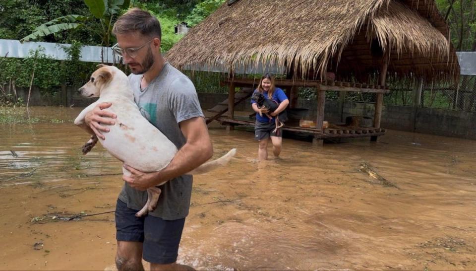 Volunteers rescue animals after floods (The Elephant Nature Park)