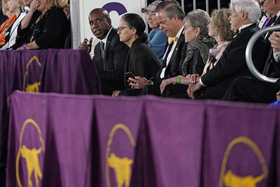 Former Major League Baseball player Barry Bonds sits in the viewing stands during judging of the terrier group at the Westminster Kennel Club dog show, Sunday, June 13, 2021, in Tarrytown, N.Y. (AP Photo/Kathy Willens)