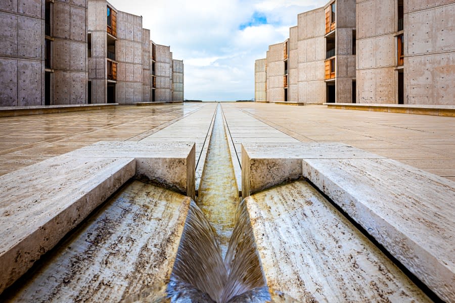 Salk Institute