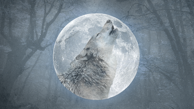 January's 'wolf moon,' the first full moon of 2024, rises Thursday