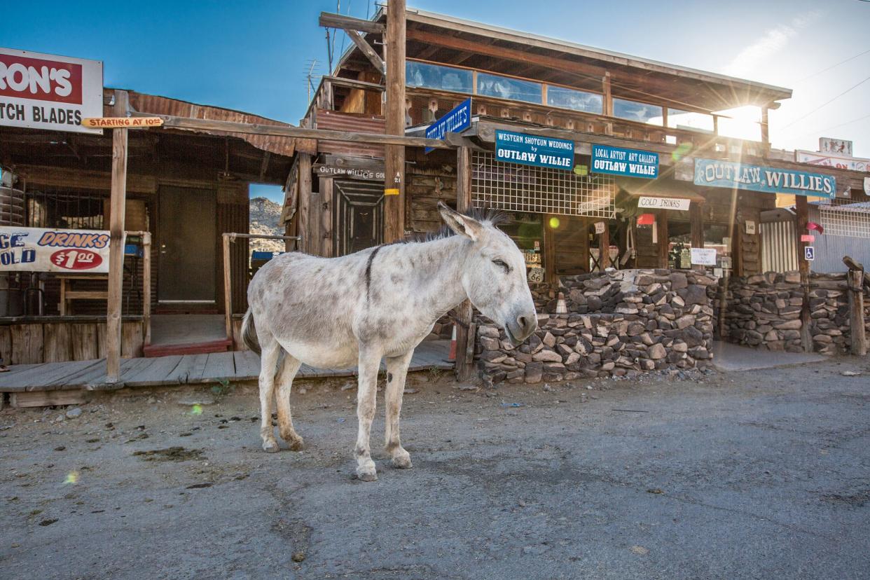 A donkey on the dirt road of Oatman, Arizona, historical buildings behind it, a dramatic sunlight coming through a building's porch, a blue sky