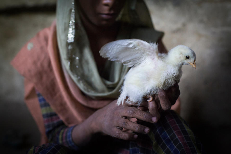 Anisha holds a chicken in her home in Haryana, India. Aisha is daughter of a "paro": a women who was trafficked and sold as a bride, because Anisha&acute;s father was not able to find a local woman for marriage. This photo is part of an in-depth photography project about bride trafficking in India: the trade of women and girls sold into forced marriage.
