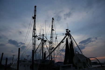 Silhouettes of boat masts are seen in Wanchese, North Carolina, U.S., June 1, 2017. Picture taken June 1, 2017. REUTERS/Shannon Stapleton