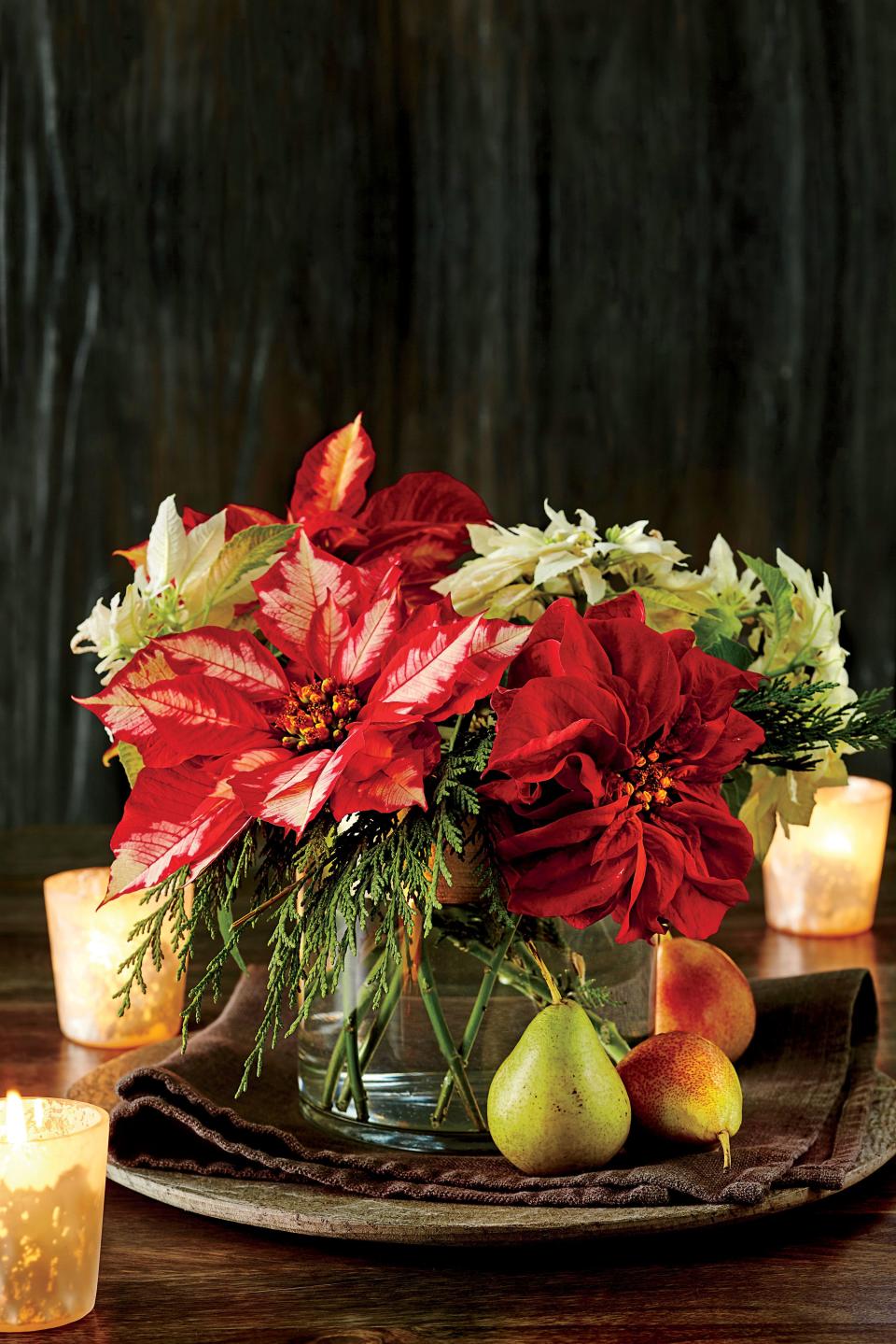 Spruced-Up Poinsettias