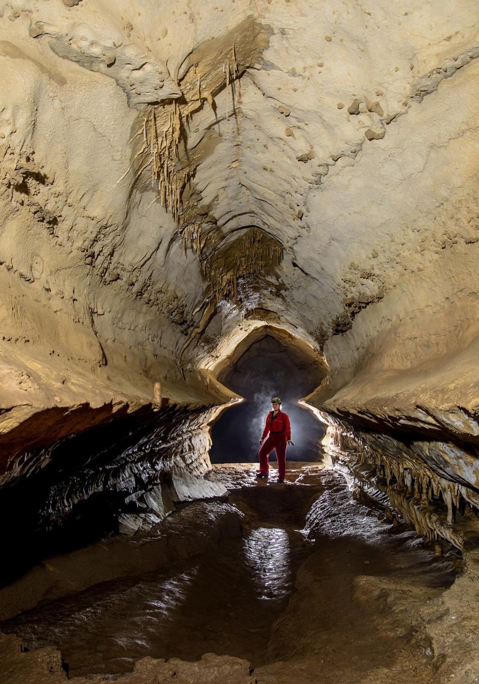 <p>Symmetry – Locations Unknown. (Photo: Ed Mccarthy / NSS / Caters News) </p>