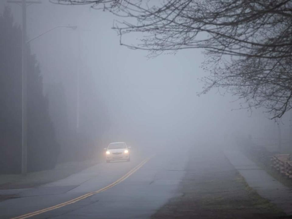 A car drives through thick fog in Surrey, British Columbia on Monday, Jan. 24, 2022.  (Ben Nelms/CBC - image credit)