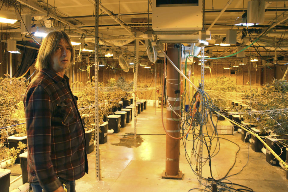 CORRECTS TO SAY THE FUTURE OF HIS BUSINESS IS HAZY - Alaska marijuana grower Dane Wyrick poses for photos at his Danish Gardens cultivation and retail location in Anchorage, Alaska, Monday, Aug. 26, 2019. Wyrick said the future of his business is hazy, in part because of the tax the state of Alaska places on cultivators, which bear the burden of the taxation in the market. (AP Photo/Mark Thiessen)