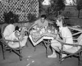 <p>Newlyweds Lucille Ball and Desi Arnaz are joined by their three Cocker Spaniels as they enjoy breakfast on the outdoor patio of their <a href="https://venturablvd.goldenstate.is/lucy-in-the-valley/" rel="nofollow noopener" target="_blank" data-ylk="slk:California farm, Desilu Ranch;elm:context_link;itc:0;sec:content-canvas" class="link ">California farm, Desilu Ranch</a>. In addition to their dogs, the MGM actress's five acre farm included a cow and a flock of chickens. </p>