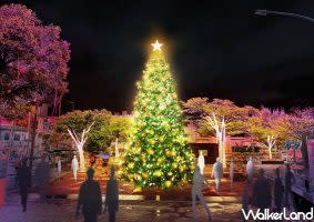 主燈「聖誕金美好」以最經典的耶誕樹為基底、纏繞滿滿金黃燈飾，用童話故事般的耶誕樹讓你拍打卡再說。（圖｜新北市政府/Taipei Walker)