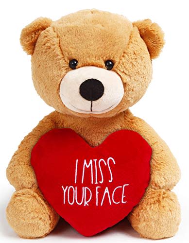 JENVIO Teddy Bear Girlfriend – Miss Your Face 12 Inch Plush – Valentines Christmas Teddy Bear for Long Distance Gifts, Boyfriend, Miss You Stuffed Animal, Heart