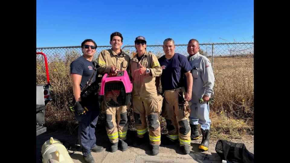 The kitten, now named Cactus, will soon have a home as a station cat with the firefighters that helped with his rescue, the nonprofit said.