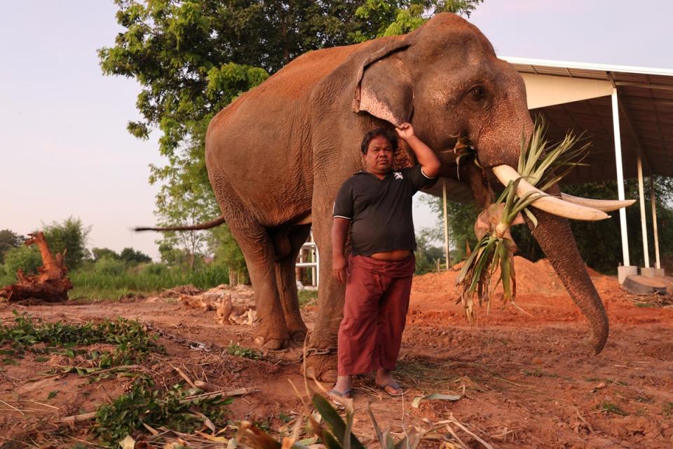 A mahout named Sak, 55, poses with his elephant (Reuters)