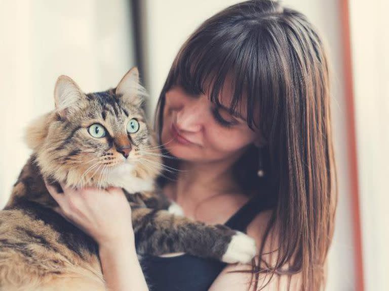 Una de las profesionales afirma que estar con su gato la ayuda a superar la ansiedad