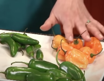 A hand resting near some peppers.