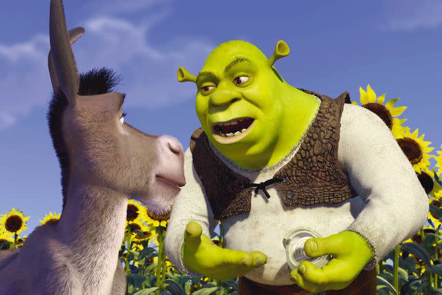 <p>DreamWorks/courtesy Everett</p> Donkey and Shrek in 'Shrek'
