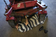 Diesel mechanic Johnny Reyes, 40, a former gang member who says he is serving a 364 day sentence in the Brevard County jail for burglary and violating probation, does maintenance on landscaping equipment in a workshop at the Sheriff's Work Farm, in Cocoa, Fla., Thursday, Sept. 14, 2023. Participation in Brevard County's various work crews, including a chain gang where participants wear chains around their ankles, is unpaid and voluntary. (AP Photo/Rebecca Blackwell)