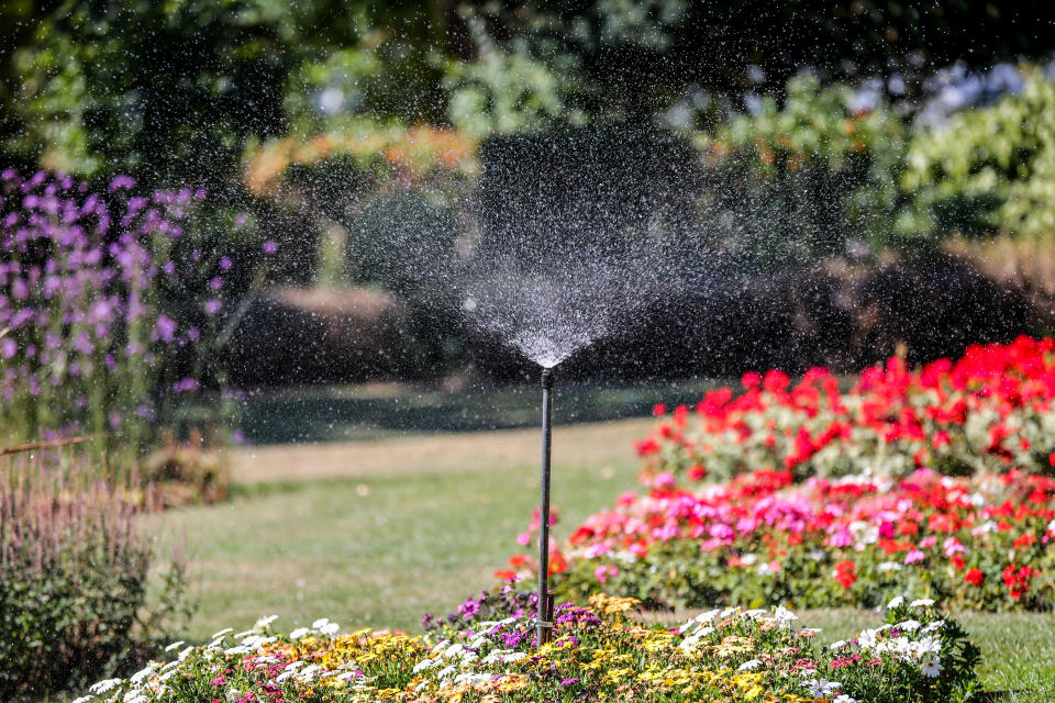 LONDON, UNITED KINGDOM - 2022/08/11: A sprinkler seen watering flowers in London.
Thames Water has announced that a hosepipe and sprinkler ban will come into force from 24 August 2022 that will affect over 10 million customers across the south of England. (Photo by Dinendra Haria/SOPA Images/LightRocket via Getty Images)