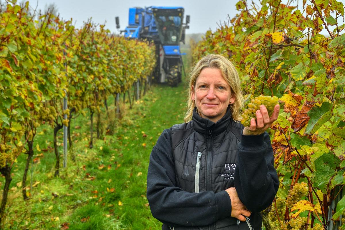 Laura Robinson, who has been refused planning permission for a house next to her vineyard <i>(Image: Chris Bishop)</i>