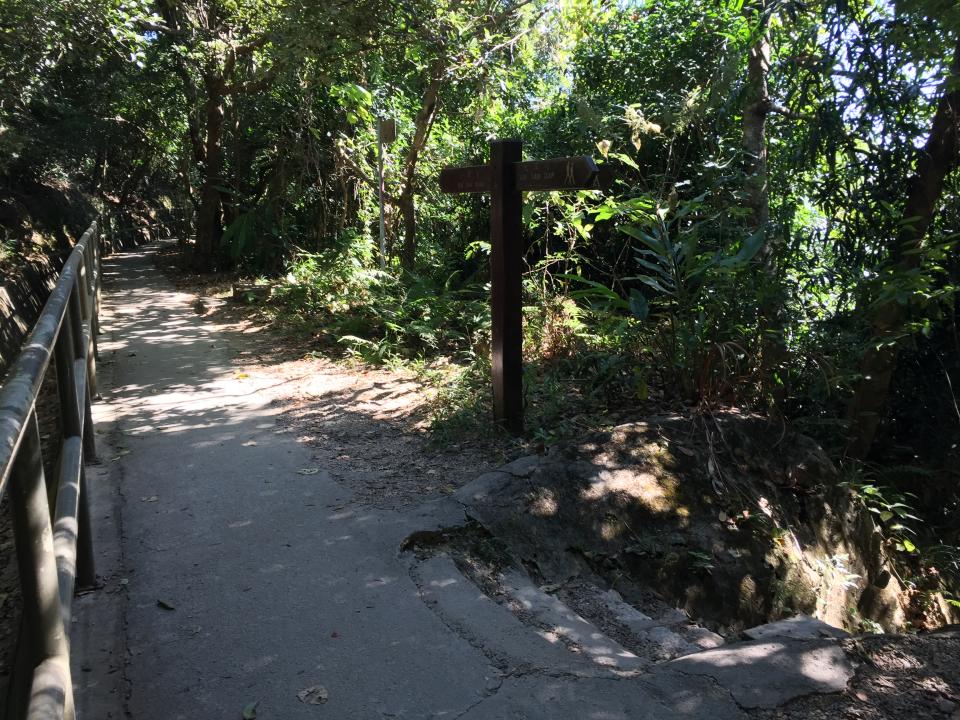 行山路線｜新手入門龍脊路線！CNN旅遊網推薦零難度睇無敵大海景