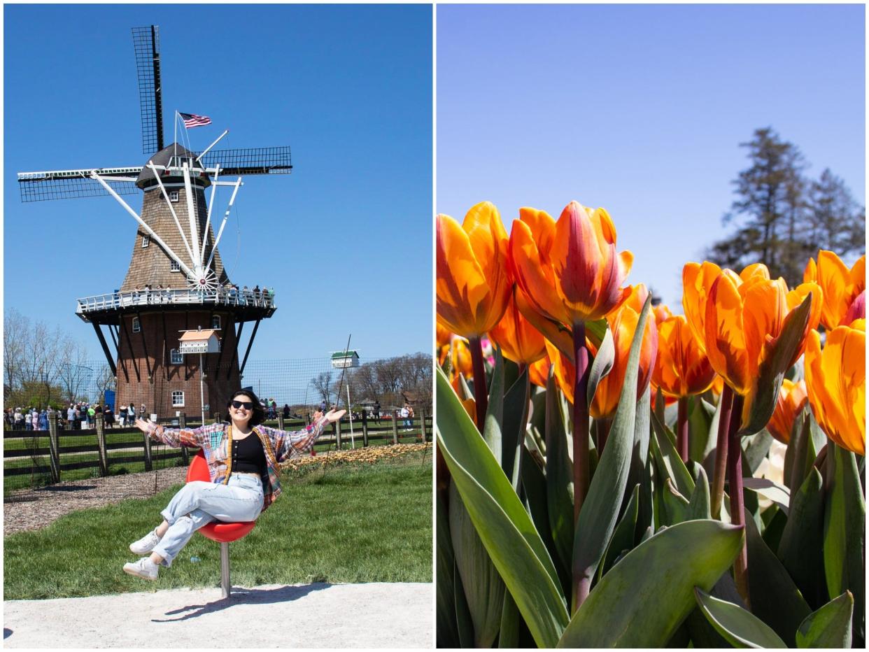 Side by side of Gabi Stevenson in front of a wind mill and a cluster of orange tulips