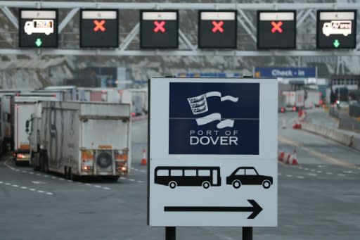 With less than a year until Brexit, there are fears in the English port of Dover of long tailbacks for trucks because of additional customs red tape