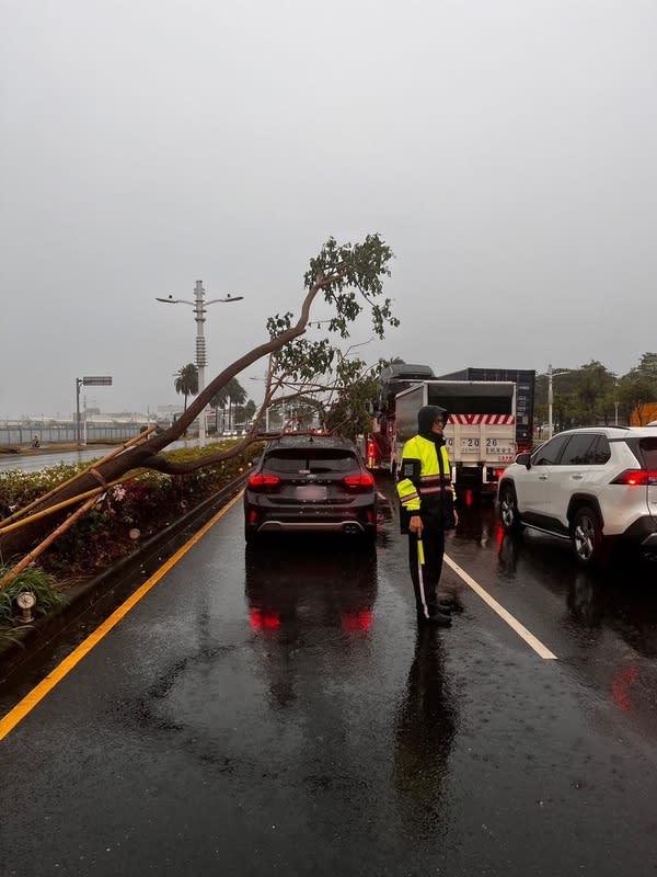 高雄大雨再傳路樹倒塌  停等紅燈車輛遭砸 高雄市澄清湖26日上午發生遊客遭倒塌路樹壓死意 外，不料疑因大雨持續，前鎮區也發生一輛停等紅燈 汽車遭路樹砸中事故，所幸車內人員均安。 （高雄市前鎮警分局提供） 中央社記者洪學廣傳真  113年4月26日 