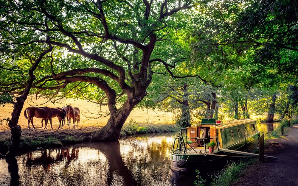 Canal holiday in Wales - JAN JARVIS