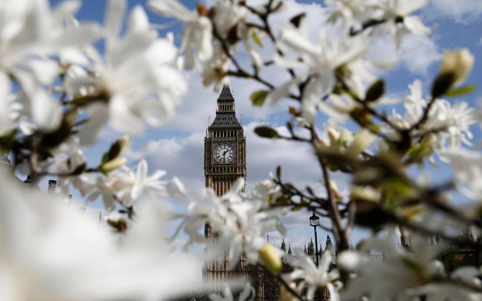 Flowers and trees are especially important in urban areas - Reuters