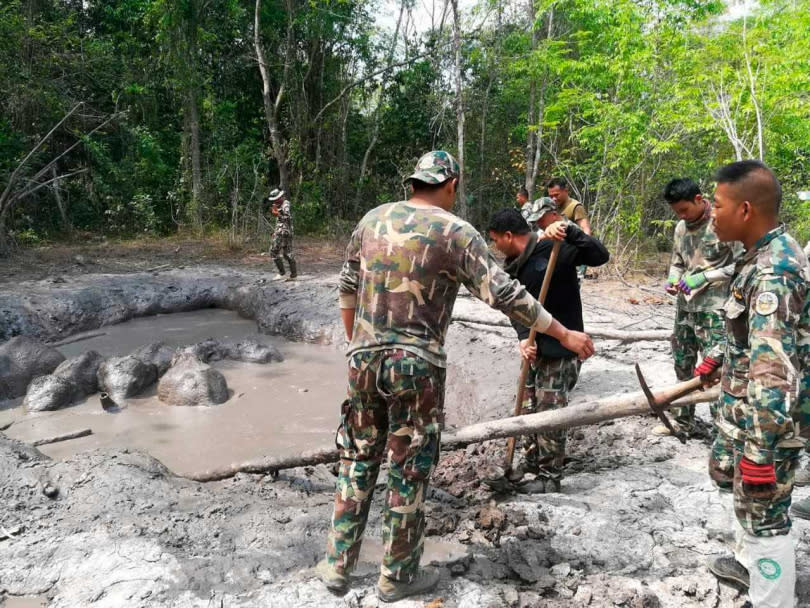 泰國常發現大象遭追捕獵殺或為覓食等衝突。（圖／達志／美聯社）