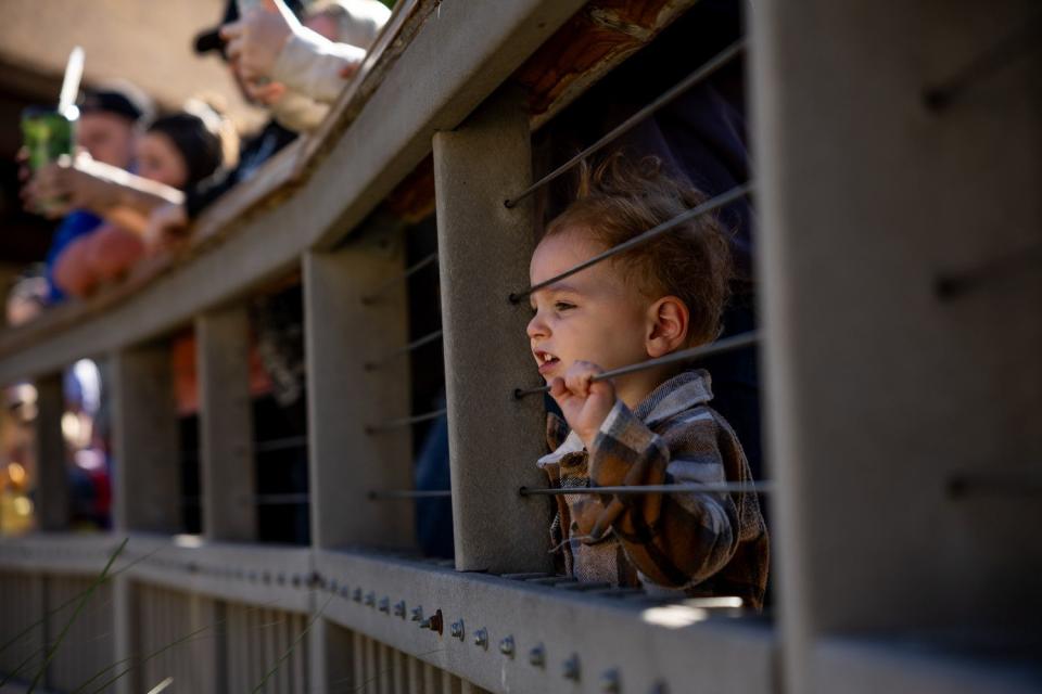 People watch a presentation with African elephants Zuri and Christie at the Hogle Zoo in Salt Lake City on Saturday. The zoo’s two African elephants, Christie, 37, and her daughter, Zuri, 14, are being transferred to another accredited zoo where the elephants will have a chance to breed.