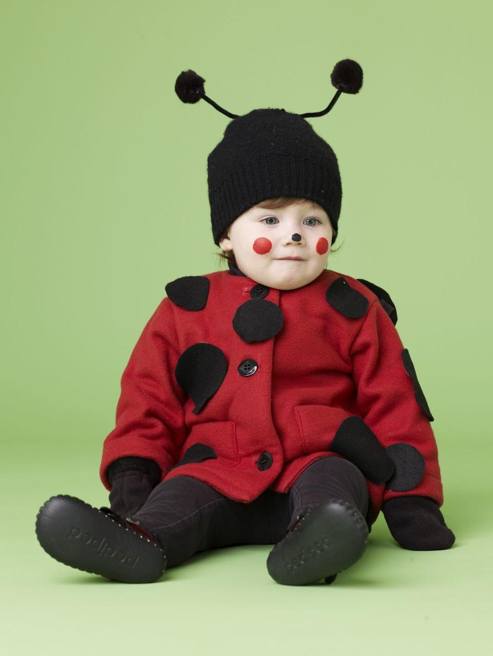 Ladybug Costume