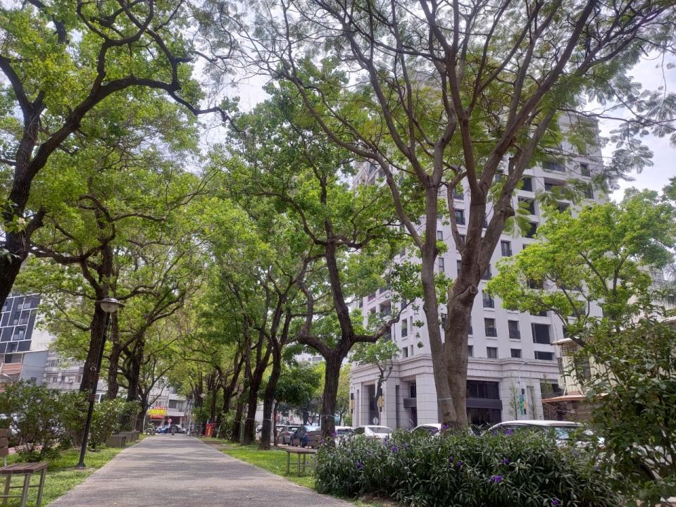 ▲台中市西區「茄苳公園」一帶綠意盎然，生活環境舒適。（圖／信義房屋提供）