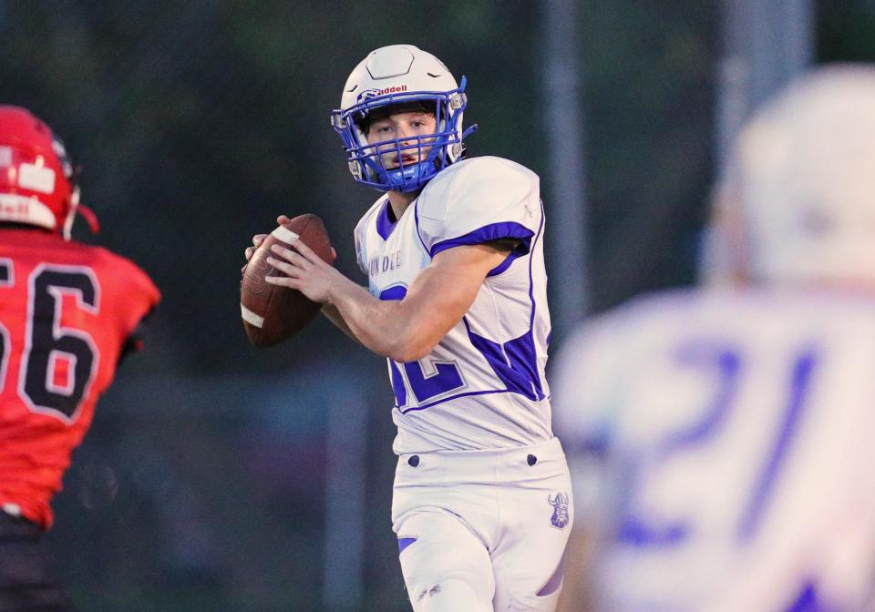 Dundee quarterback Carson Irwin looks for a receiver during a 35-0 loss to Clinton Friday night.