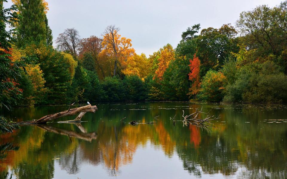 Bois de Boulogne - Getty