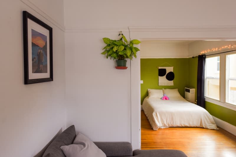 Framed artwork and hanging plants in a white living room.