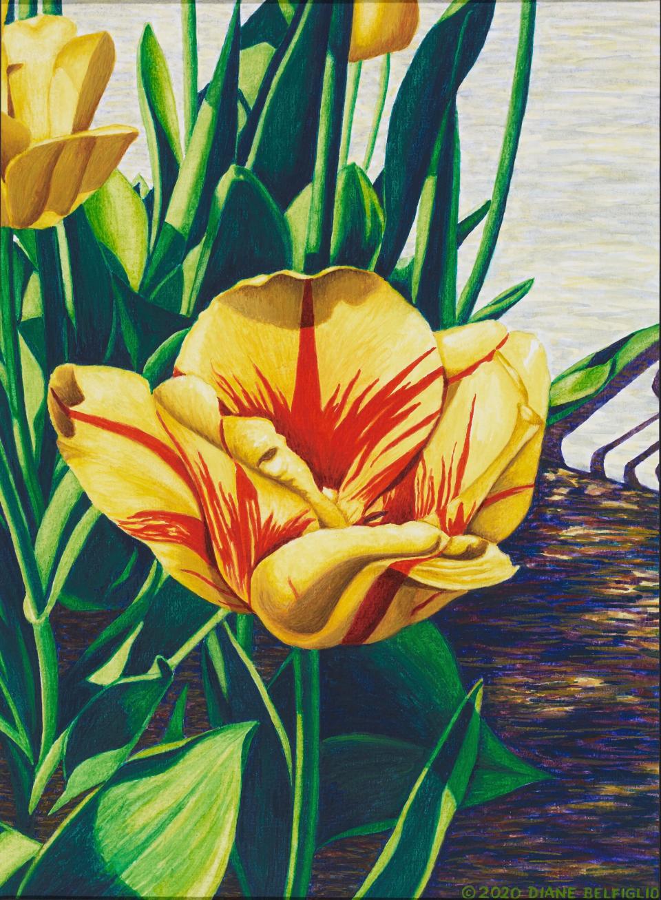 "Artist's Journey," an exhibit of late Stark County artist Diane Belfiglio, was on display at the Little Art Gallery at North Canton Public Library in 2021.