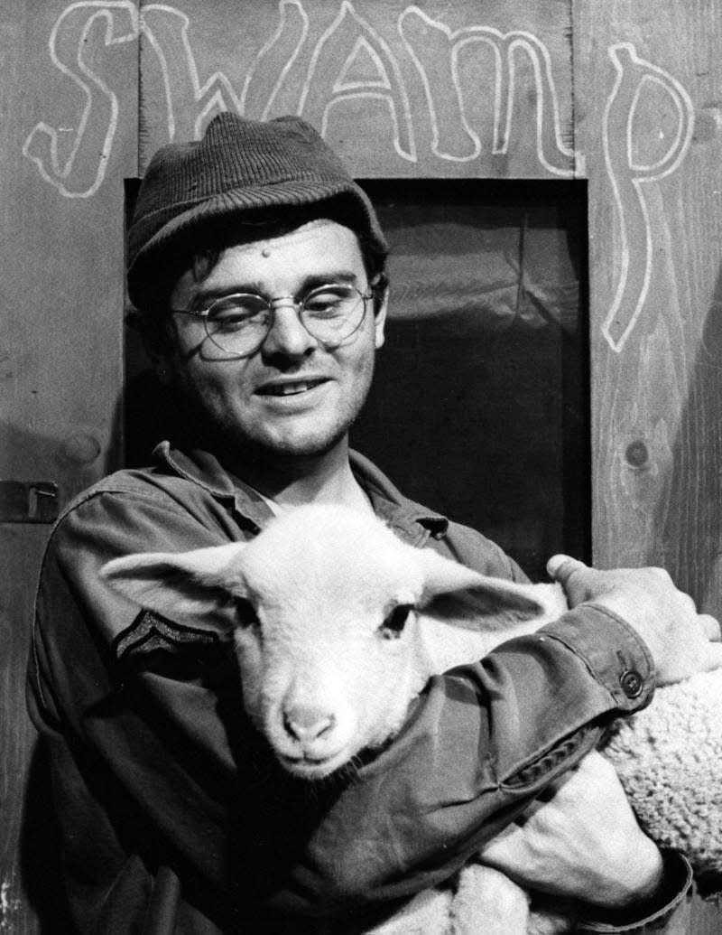 "Radar" (Gary Burghoff) befriended this lamb in the memorable 1975 M*A*S*H episode "Private Charles Lamb."