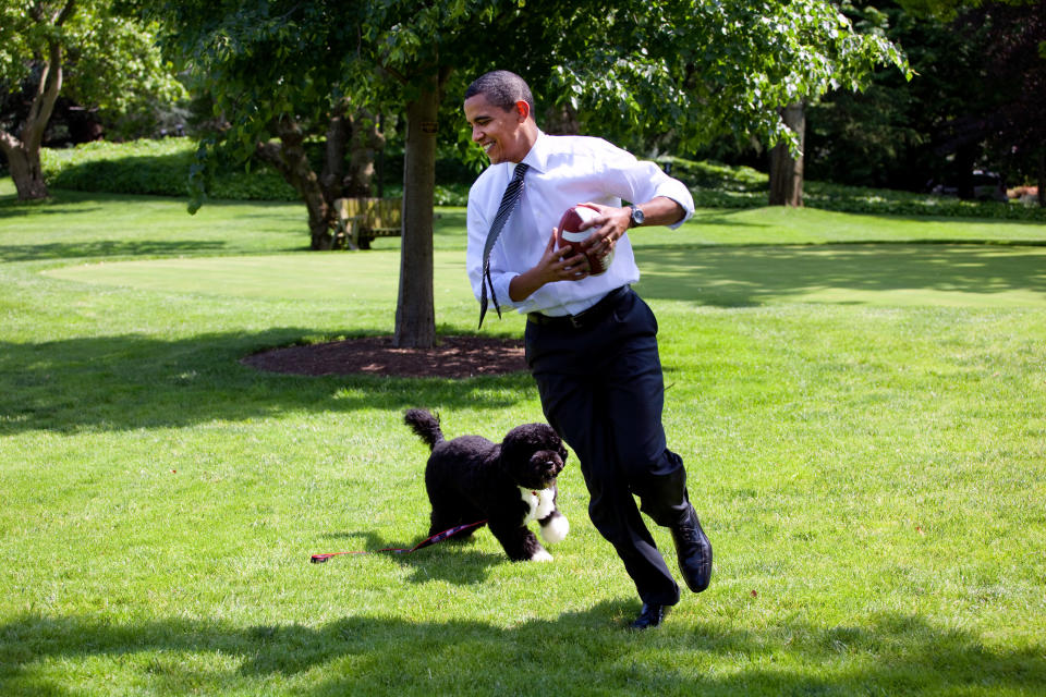 In this handout from the White House, Obama plays football with the family dog Bo on the South Lawn of the White House May 12, 2009 in Washington, D.C.