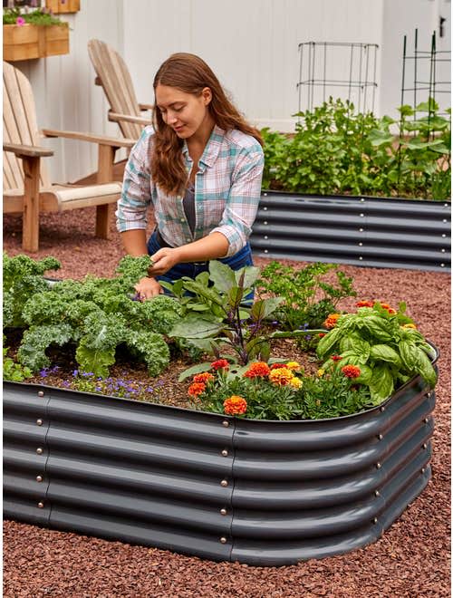 <p><a href="https://go.redirectingat.com?id=74968X1596630&url=https%3A%2F%2Fwww.burpee.com%2F12-in-1-galvanized-raised-bed-prod600122.html&sref=https%3A%2F%2Fwww.veranda.com%2Foutdoor-garden%2Fg60836561%2Fbest-raised-garden-beds%2F" rel="nofollow noopener" target="_blank" data-ylk="slk:Shop Now;elm:context_link;itc:0;sec:content-canvas" class="link ">Shop Now</a></p><p>12-in-1 Galvanized Raised Bed</p><p>burpee.com</p><p>$199.95</p><span class="copyright">Burpee</span>