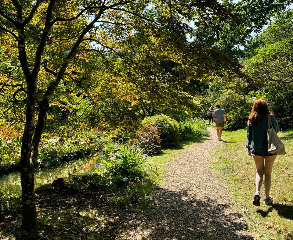 A man and a woman walk on a gravel path through a lush, green park with trees and vegetation on a sunny day