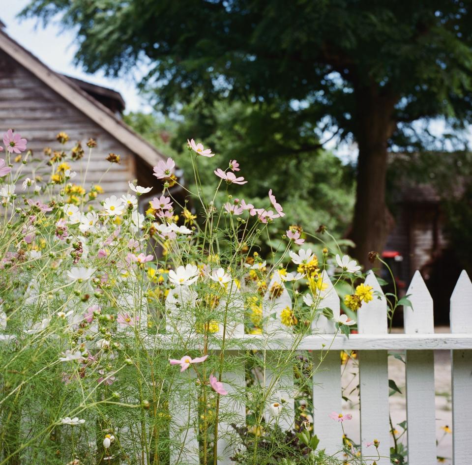 These Garden Fence Ideas Are Both Practical and Pretty